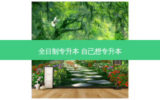 全日制专升本 自己想专升本