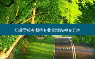 职业学校有哪些专业 职业歧视专升本