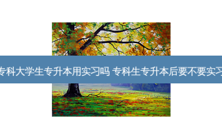 专科大学生专升本用实习吗 专科生专升本后要不要实习