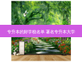专升本的好学校名单 著名专升本大学