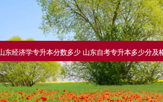 山东经济学专升本分数多少 山东自考专升本多少分及格