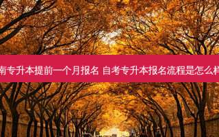 湖南专升本提前一个月报名 自考专升本报名流程是怎么样的