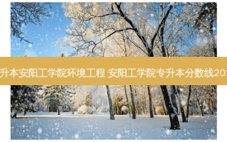 专升本安阳工学院环境工程 安阳工学院专升本分数线2022