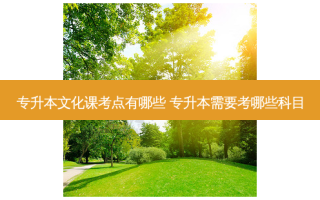 专升本文化课考点有哪些 专升本需要考哪些科目