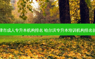 天津市成人专升本机构排名 哈尔滨专升本培训机构排名前十