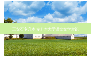 王安石专升本 专升本大学语文文学常识