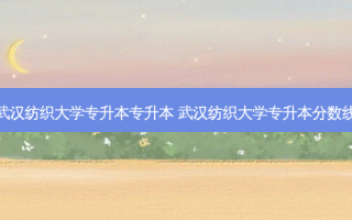 武汉纺织大学专升本专升本 武汉纺织大学专升本分数线