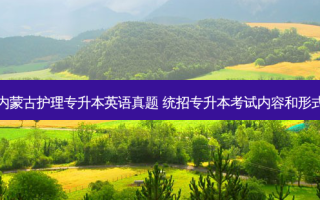 内蒙古护理专升本英语真题 统招专升本考试内容和形式