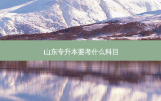 山东专升本要考什么科目