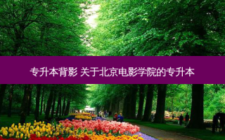 专升本背影 关于北京电影学院的专升本