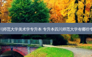四川师范大学美术学专升本 专升本四川师范大学有哪些专业
