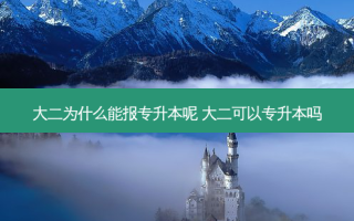 大二为什么能报专升本呢 大二可以专升本吗