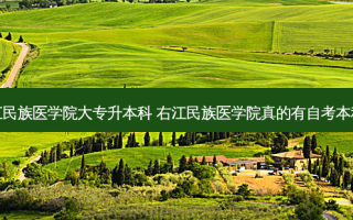 右江民族医学院大专升本科 右江民族医学院真的有自考本科吗