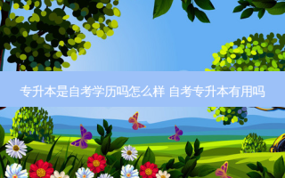 专升本是自考学历吗怎么样 自考专升本有用吗