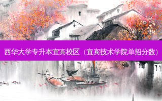 西华大学专升本宜宾校区（宜宾技术学院单招分数）