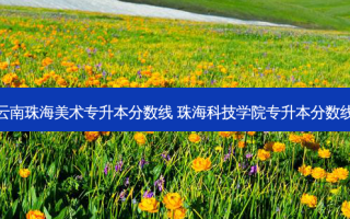 云南珠海美术专升本分数线 珠海科技学院专升本分数线