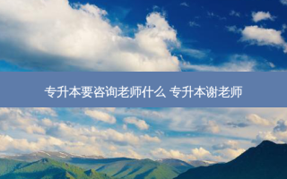 专升本要咨询老师什么 专升本谢老师