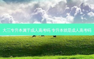 大三专升本属于成人高考吗 专升本就是成人高考吗