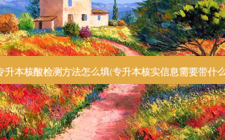 专升本核酸检测 *** 怎么填(专升本核实信息需要带什么)