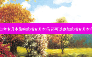自考专升本影响统招专升本吗 还可以参加统招专升本吗