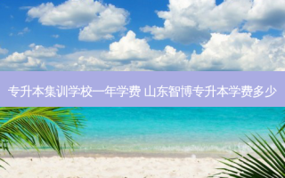 专升本集训学校一年学费 山东智博专升本学费多少