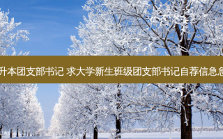 如何建专升本团支部书记 求大学新生班级团支部书记自荐信急急急急急!!!