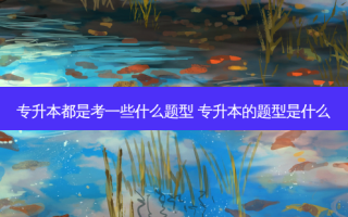 专升本都是考一些什么题型 专升本的题型是什么