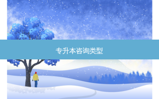 专升本咨询类型