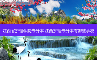 江西省护理学院专升本 江西护理专升本有哪些学校