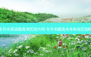 专升本英语跟高考区别大吗 专升本跟高考本科有区别吗