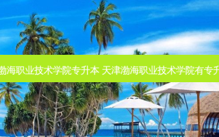 天津渤海职业技术学院专升本 天津渤海职业技术学院有专升本吗