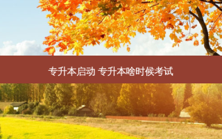 专升本启动 专升本啥时候考试