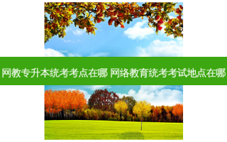 网教专升本统考考点在哪  *** 教育统考考试地点在哪