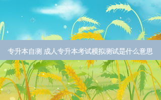 专升本自测 成人专升本考试模拟测试是什么意思