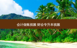 会计做账视频 财会专升本视频
