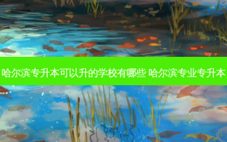 哈尔滨专升本可以升的学校有哪些 哈尔滨专业专升本