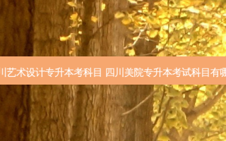 四川艺术设计专升本考科目 四川美院专升本考试科目有哪些