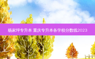 杨家坪专升本 重庆专升本各学校分数线2023