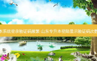 专升本系统登录验证码频繁 山东专升本登陆显示验证码次数受限