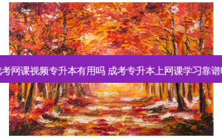 成考网课视频专升本有用吗 成考专升本上网课学习靠谱吗