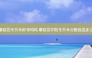 攀枝花专升本好考吗吗 攀枝花学院专升本分数线是多少