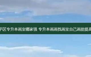 和平区专升本画室哪家强 专升本画画找画室自己画能提高么