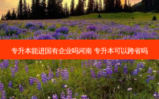 专升本能进国有企业吗河南 专升本可以跨省吗