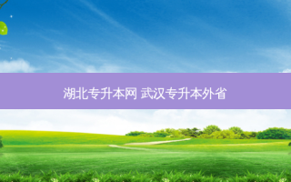湖北专升本网 武汉专升本外省