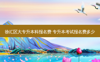 徐汇区大专升本科报名费 专升本考试报名费多少