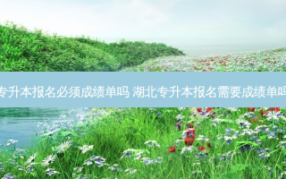 专升本报名必须成绩单吗 湖北专升本报名需要成绩单吗