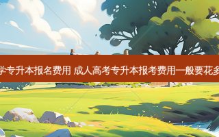 管理学专升本报名费用 成人高考专升本报考费用一般要花多少钱