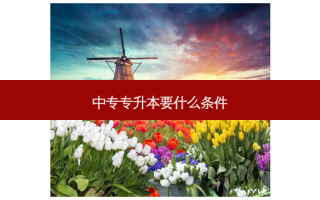 中专专升本要什么条件