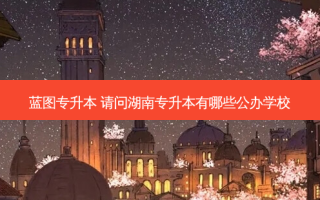 蓝图专升本 请问湖南专升本有哪些公办学校