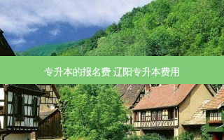 专升本的报名费 辽阳专升本费用